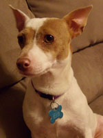 Abby