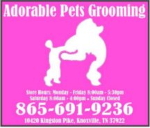 Adorable Pet Grooming - no URL available